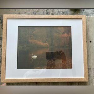 Serene Swan on Pond Framed Autumn Art Print 11x14